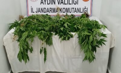 1 haftada 222 gram uyuşturucu ele geçirildi