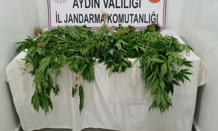 1 haftada 222 gram uyuşturucu ele geçirildi