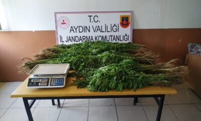 1 haftada 395 gram uyuşturucu ele geçirildi