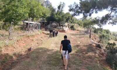 1 haftadır kayıp olan keçiler drone ile bulundu