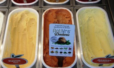 10 bitkiden üretilen ’Anti-Vrs’ dondurma Bodrum’da ilgi odağı oldu