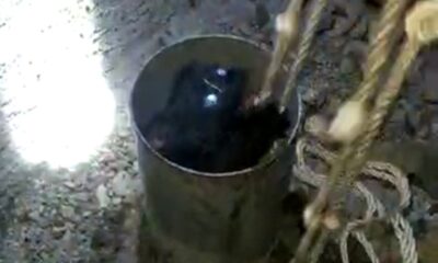 13 metrelik boruda sıkışan yavru kedileri itfaiye kurtardı