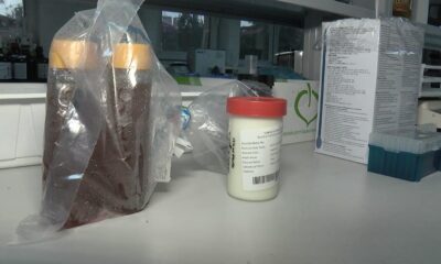 13 ürüne izin çıktı, ihracat yapabilecekler