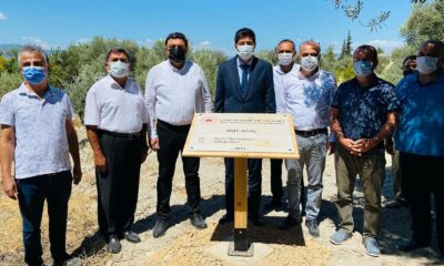 1300 yıllık anıt ağacına sahip Mut’a 3 anıt ağaç daha tescillendi