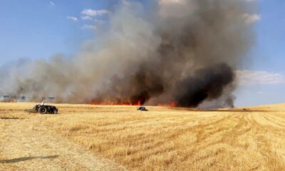 15 dönüm arazide ekili arpa kül oldu