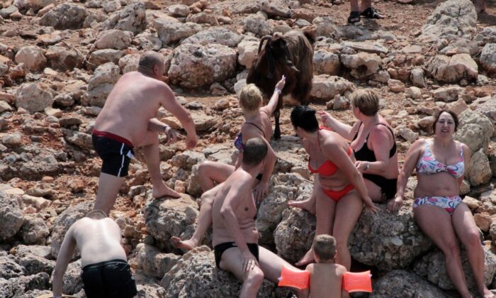 15 milyon dolarlık adanın sakinleri keçi ve tavşanlar