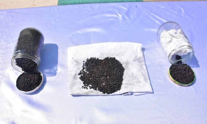 2 bin yıllık ata tohumlarını yurt dışına satmak isterken suçüstü yakalandı