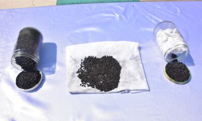 2 bin yıllık ata tohumlarını yurt dışına satmak isterken suçüstü yakalandı