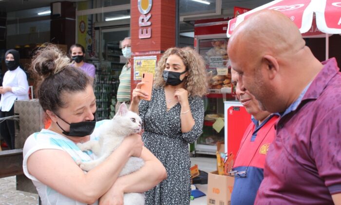 2 gündür kayıp olan kedi apartman boşluğundan kurtarıldı