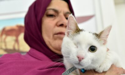 218 sokak hayvanı daha sıcak bir yuvaya kavuştu