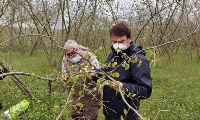 26 bin çiftçiye 68 milyon ödeme yapıldı