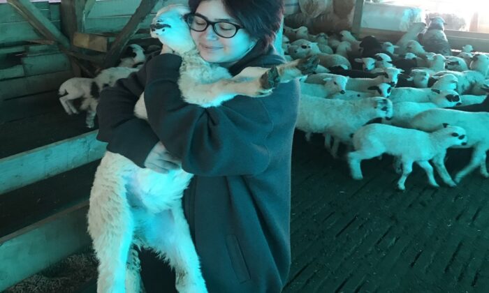 3 bin 679 hayvana küpe takıldı