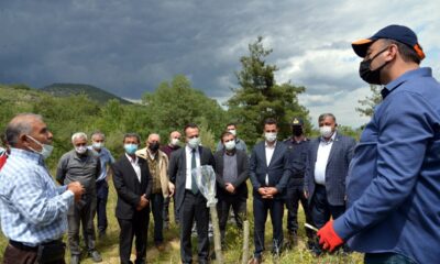 40 çiftçiye sertifika verildi