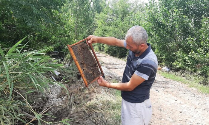 400 kovan arısı sele kapıldı, zararı 1 milyon lira