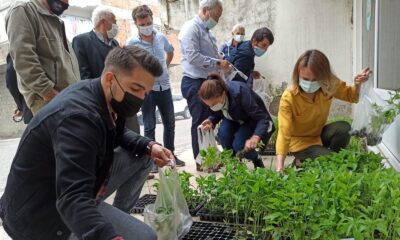 5 bin fide çiftçilere dağıtıldı