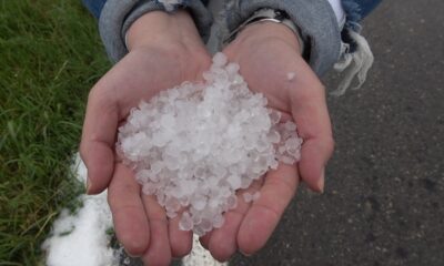 5 dakikada buğday tarlaları beyaza büründü