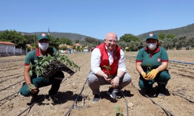 55 bin ata tohumu fideleri toprakla buluştu