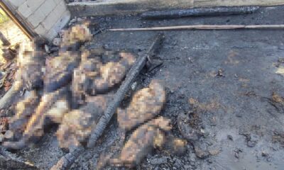 8 büyükbaş, 18 küçükbaş hayvan yanarak telef oldu