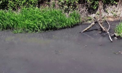 8 mahallenin çevresinden geçen dere, kirliliği ile endişelendiriyor