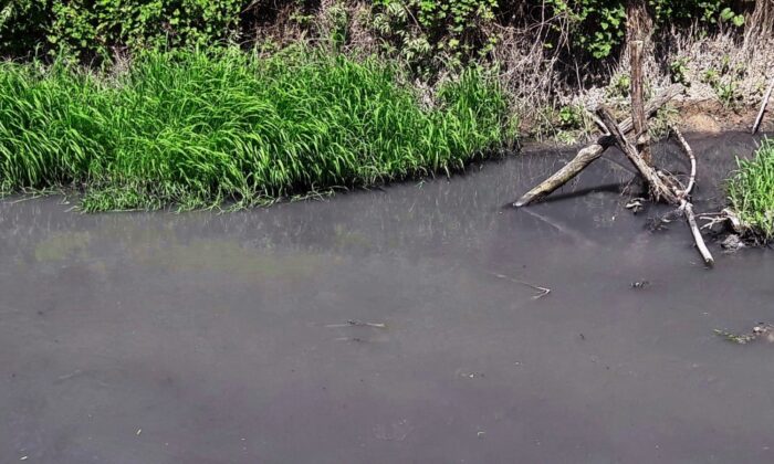 8 mahallenin çevresinden geçen dere, kirliliği ile endişelendiriyor