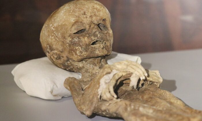 9. ve 11. yüzyıla ait insan ve hayvan mumyaları