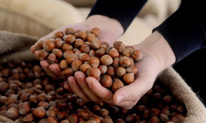 AB ülkelerine 299 ton 300 kilo fındık ihraç edildi