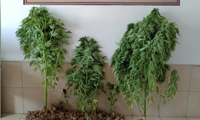 ABD vatandaşının evinden uyuşturucu ve tarihi eser çıktı