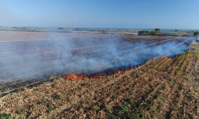 Adana Müftüsü Çınar: “Anız yakarak kul hakkına girilmektedir”