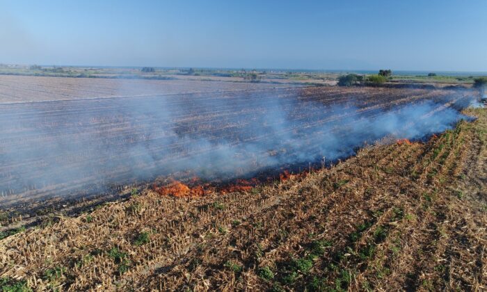 Adana Müftüsü Çınar: “Anız yakarak kul hakkına girilmektedir”