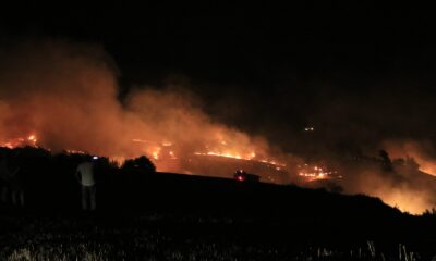 Adana’da ağaçlık alana sıçrayan anız yangını kontrol altına alındı