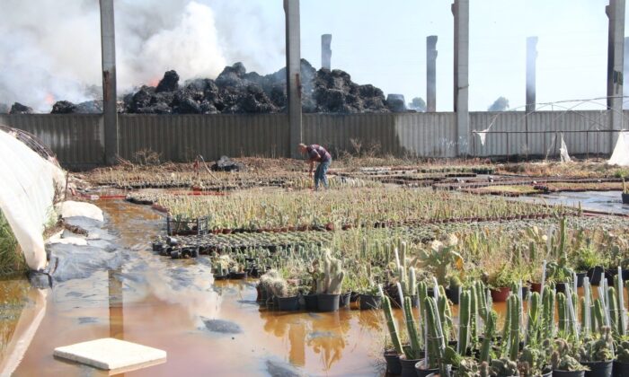 Adana’da geri dönüşüm tesisindeki yangın kontrol altına alındı