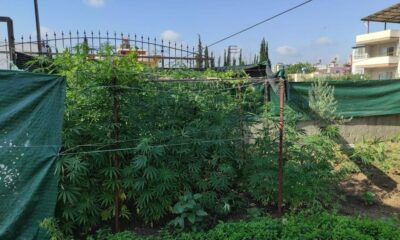 Adana’da uyuşturucu operasyonu