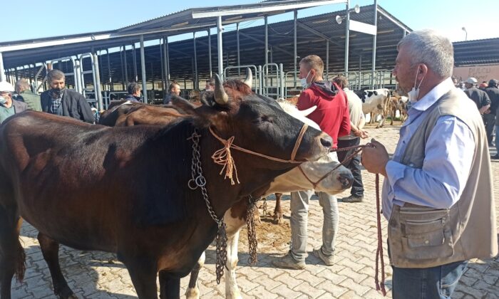 Afyon’daki kurban pazarında hareketlilik başladı