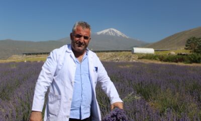 Ağrı Dağı eteklerinde yetiştirilen lavanta çiçeklerinden kozmetik ürünler elde edilecek