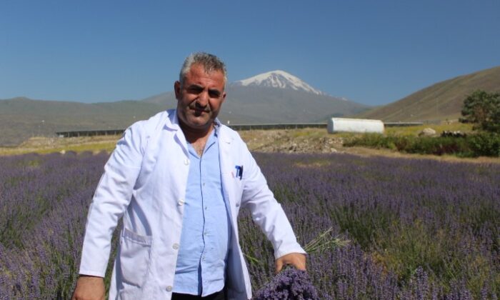 Ağrı Dağı eteklerinde yetiştirilen lavanta çiçeklerinden kozmetik ürünler elde edilecek
