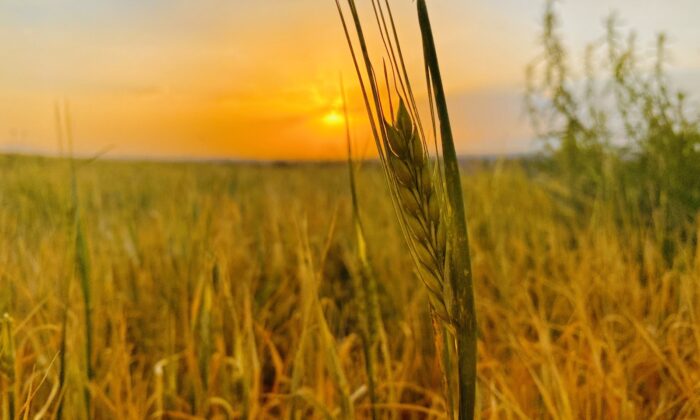 Ağrı’da göz kamaştıran gün batımı