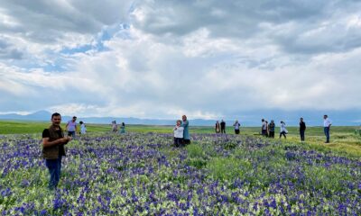 Ağrı’da renk cümbüşü