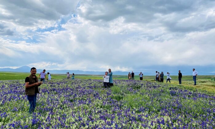 Ağrı’da renk cümbüşü