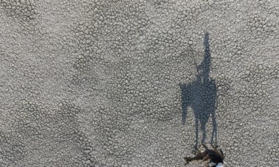 Akgöl’ü kurudu, kuşlar gölü terk etti