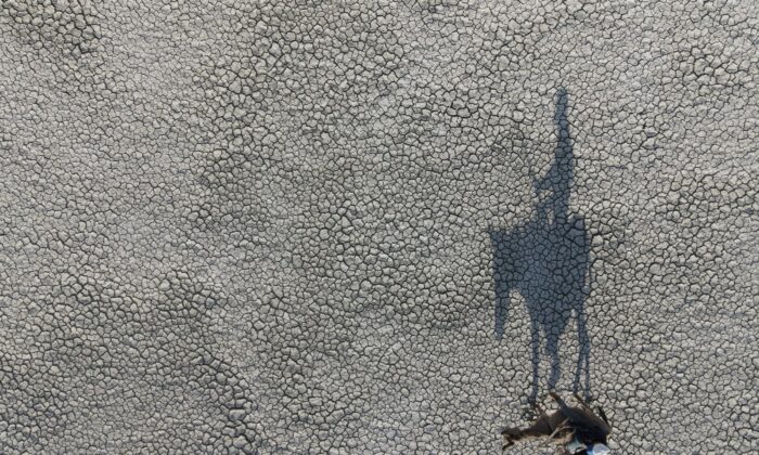 Akgöl’ü kurudu, kuşlar gölü terk etti