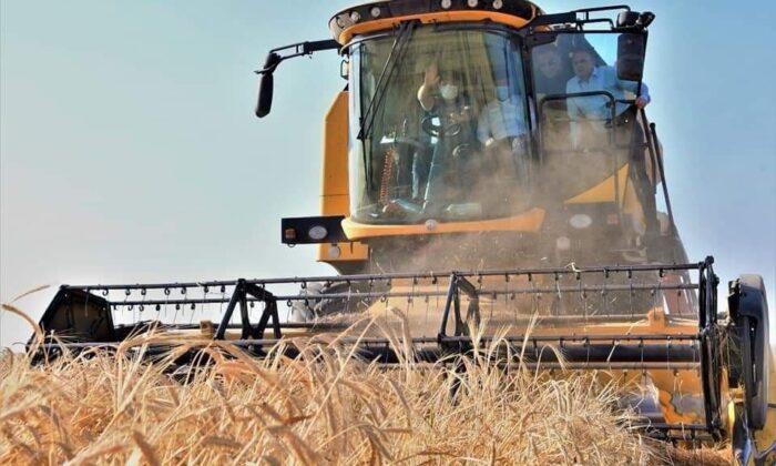 Aksaray 1 milyon 300 bin ton arpa üretimiyle Türkiye’de 7. sırada