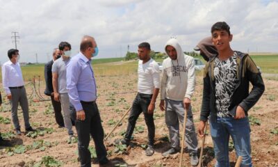 Aksaray’da mevsimlik tarım işçilerinin her türlü ihtiyaçları gideriliyor