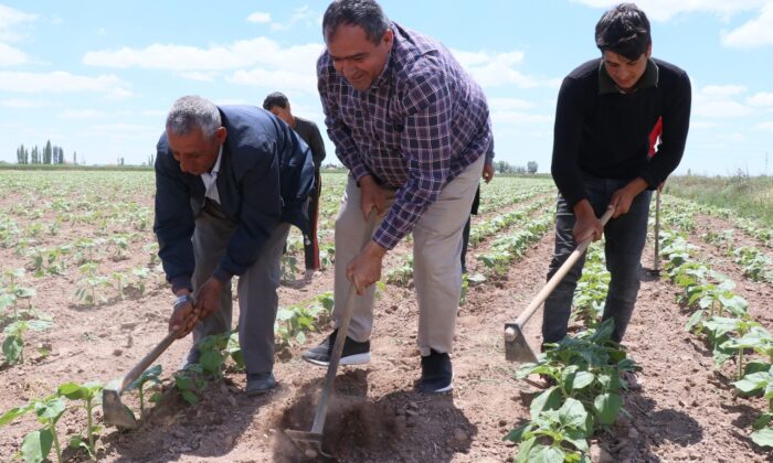Aksaray’da tarımsal üretim hız kesmeden devam ediyor