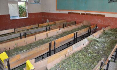 Alanya Sapadere, ipekböcekçiliğinin merkezi olacak