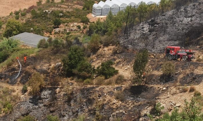 Alanya’da çıkan orman yangını ekiplerin müdahalesiyle söndürüldü