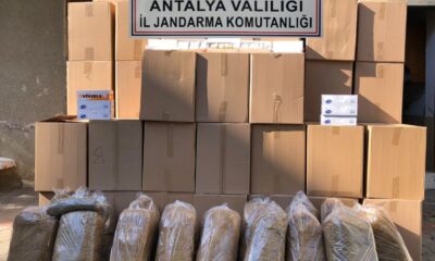 Alanya’da kaçak tütün operasyonu