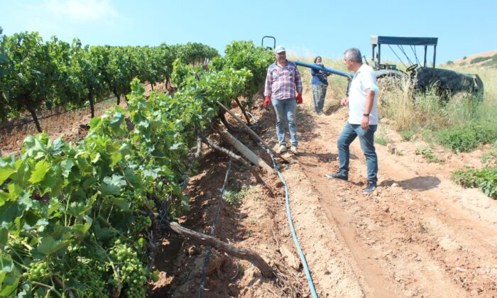 Alaşehir’de fırtınada zarar gören bağlarda hasar tespit çalışmaları başladı