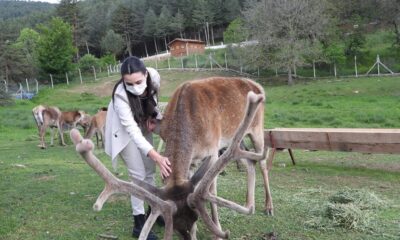 Alpu’dan Kızıl Geyik Üretim İstasyonuna ziyaret