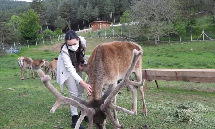 Alpu’dan Kızıl Geyik Üretim İstasyonuna ziyaret