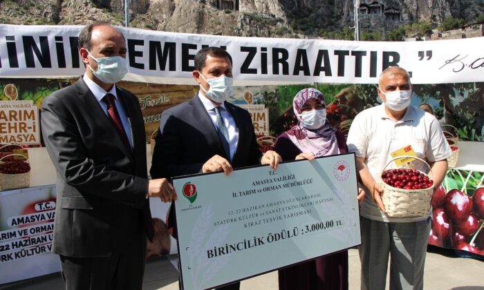 Amasya’da kirazlar yarıştı: Birinciye 3 bin TL ödül